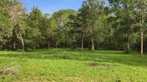 1165 Cr 213 Tract 2 Weimar TX 78962