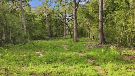 1165 Cr 213 Tract 2 Weimar TX 78962