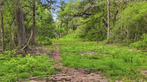 1165 Cr 213 Tract 2 Weimar TX 78962