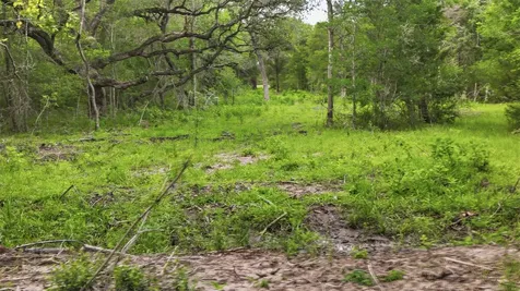1165 Cr 213 Tract 2 Weimar TX 78962