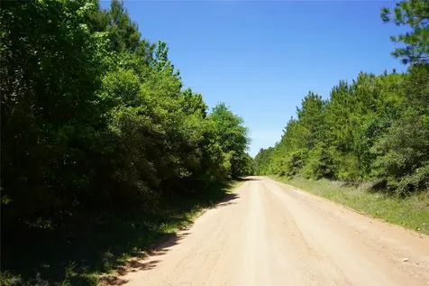 0001 E Tbd Schwab Rd / Sh 146 Road Livingston TX 77351
