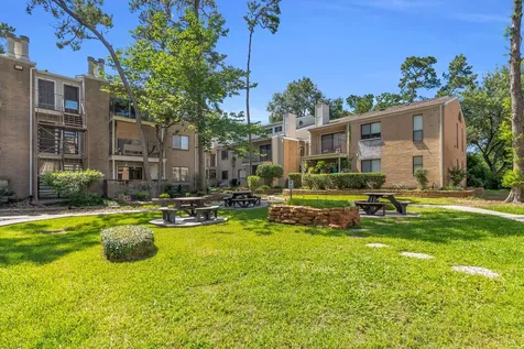 3500 Tangle Brush Drive 6 The Woodlands TX 77381