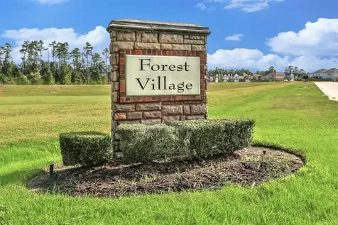 2142 Reed Cave Lane Spring TX 77386