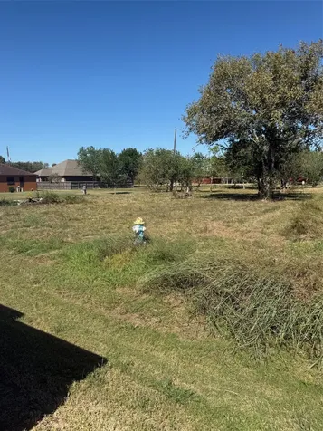 000 Pinedale Avenue Arcola TX 77583