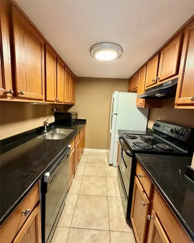 7520 Hornwoood 1204 Houston TX 77036