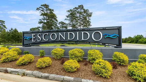 42834 Terraza Boulevard Magnolia TX 77354