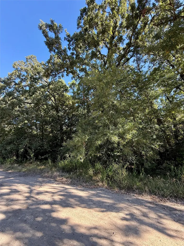 Lot 86 Tomahawk Trail Livingston TX 77351