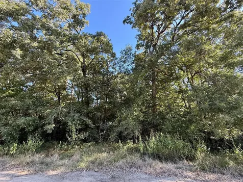 Lot 86 Tomahawk Trail Livingston TX 77351
