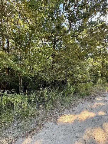 Lot 86 Tomahawk Trail Livingston TX 77351