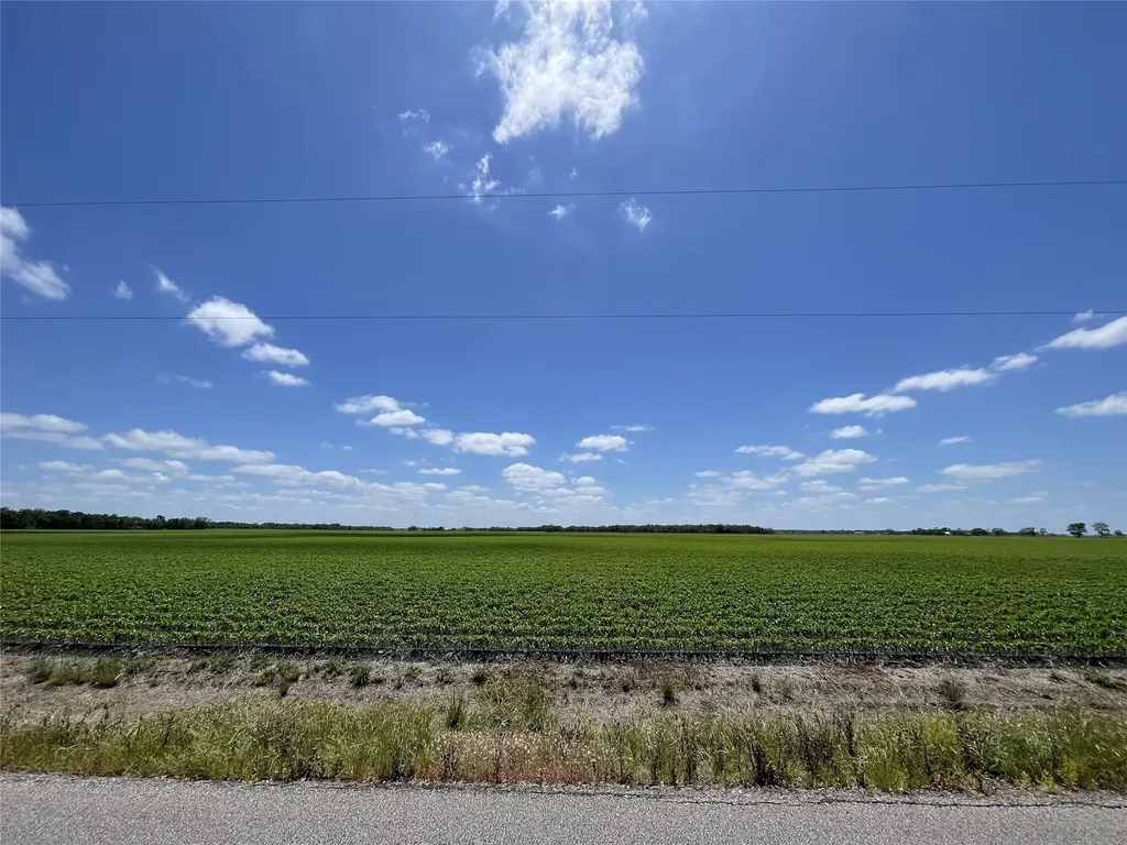 0 Schultz Road Damon TX 77430