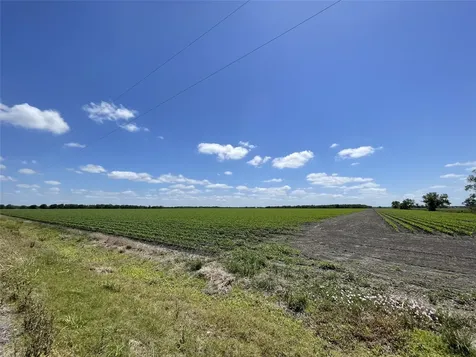 0 Schultz Road Damon TX 77430
