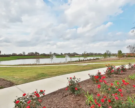 6334 King Ranch Loop Manvel TX 77578
