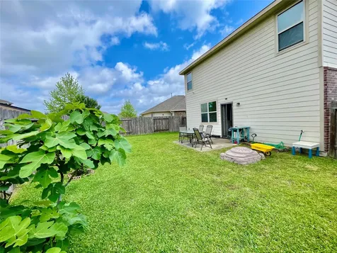 6864 Juniper Arbor Lane League City TX 77539