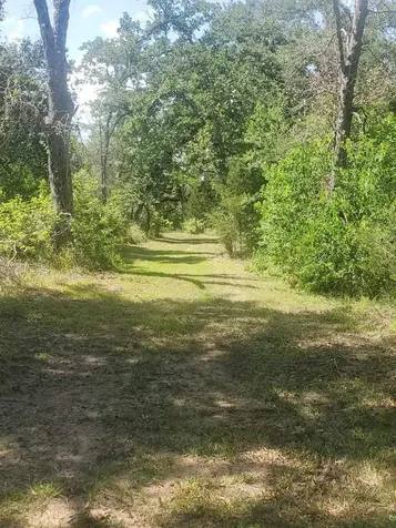 8595 Jared Road Bellville TX 77418