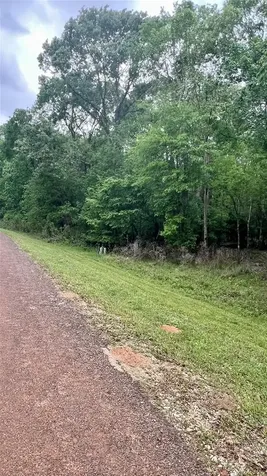 Tbd Lot 11 & 12 Eastgate Park Livingston TX 77351