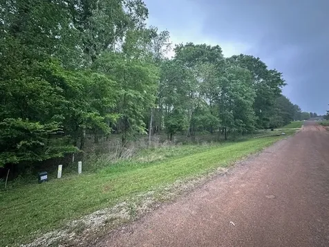 Tbd Lot 11 & 12 Eastgate Park Livingston TX 77351