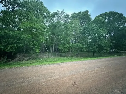 Tbd Lot 11 & 12 Eastgate Park Livingston TX 77351