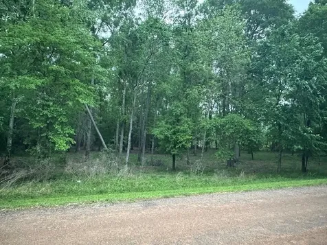 Tbd Lot 11 & 12 Eastgate Park Livingston TX 77351