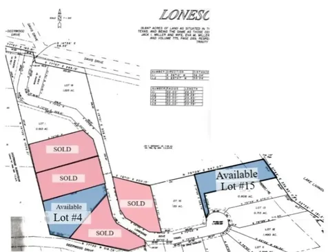 375 Lonesome Dove Trail Trinity TX 75862