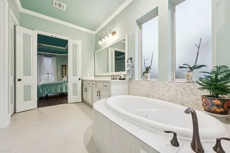 10581 Lake Palmetto Drive Conroe TX 77385