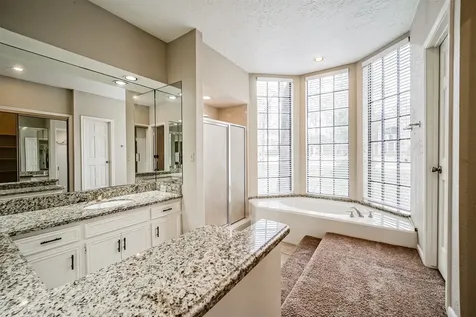 67 N Skyflower Court Spring TX 77381