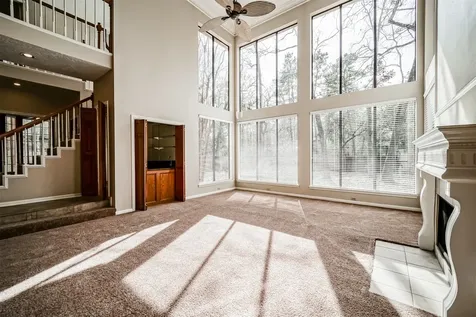67 N Skyflower Court Spring TX 77381