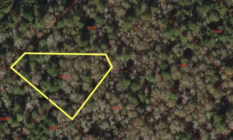 149 Hollow Hill Drive New Waverly TX 77340