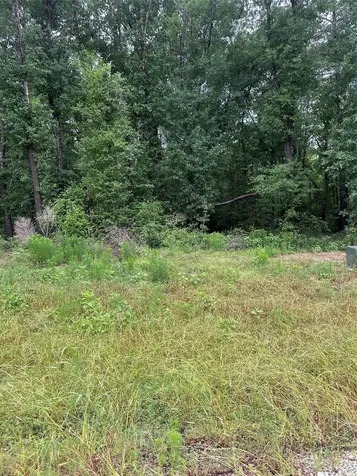 149 Hollow Hill Drive New Waverly TX 77340