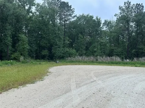 149 Hollow Hill Drive New Waverly TX 77340