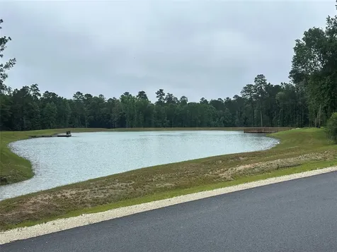 149 Hollow Hill Drive New Waverly TX 77340