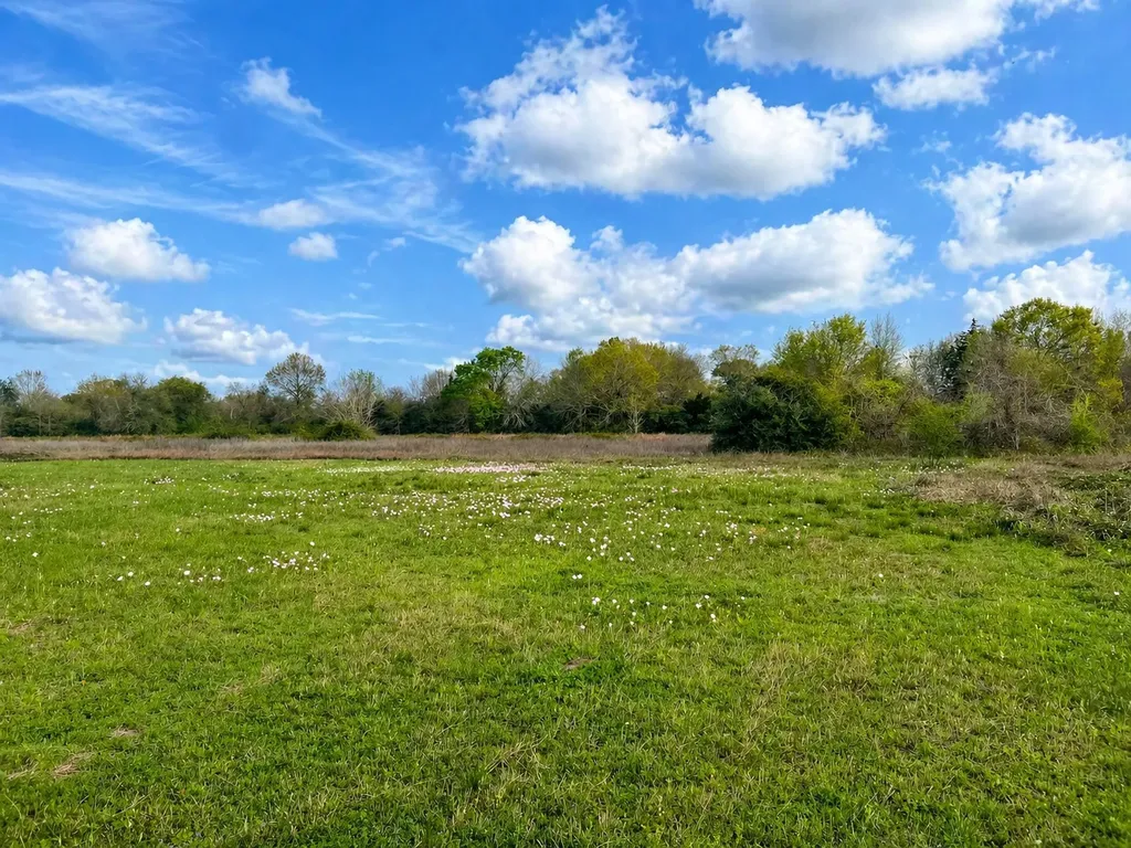 Tbd W Fm 1161 Wharton TX 77488