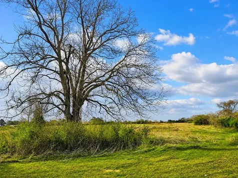 Tbd W Fm 1161 Wharton TX 77488