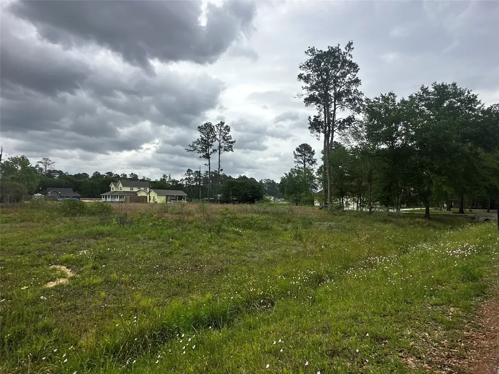 0 Indian Trails Drive Tomball TX 77375