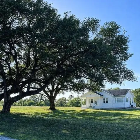 248 County Road 378 Hallettsville TX 77964
