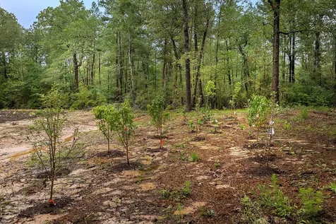 Tbd Saratoga Woods Drive Montgomery TX 77316