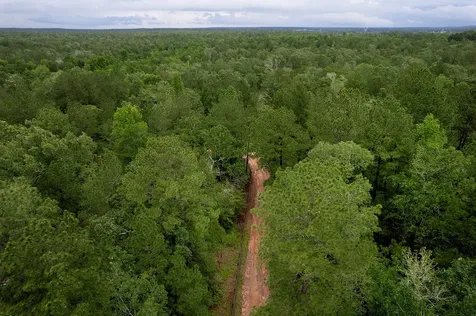 Tbd Saratoga Woods Drive Montgomery TX 77316