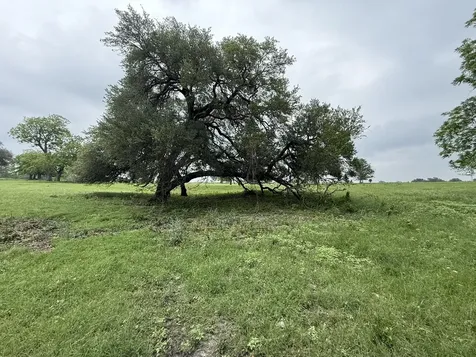 5719 Farm To Market 2238 Schulenburg TX 78956