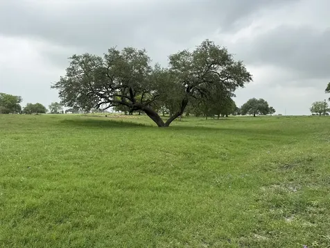5719 Farm To Market 2238 Schulenburg TX 78956