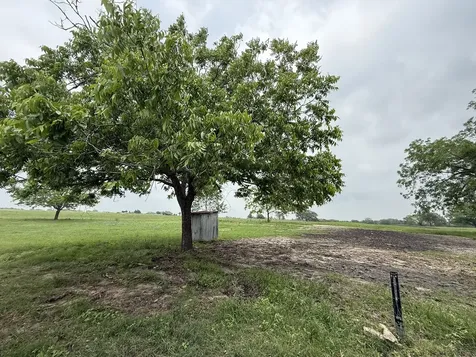 5719 Farm To Market 2238 Schulenburg TX 78956