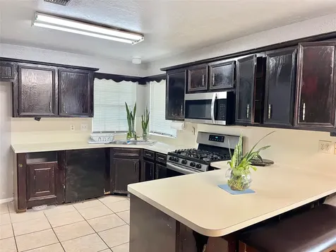 405 Wild Plum Street Houston TX 77013