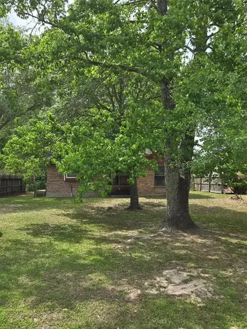 808 Willow Avenue Cleveland TX 77327