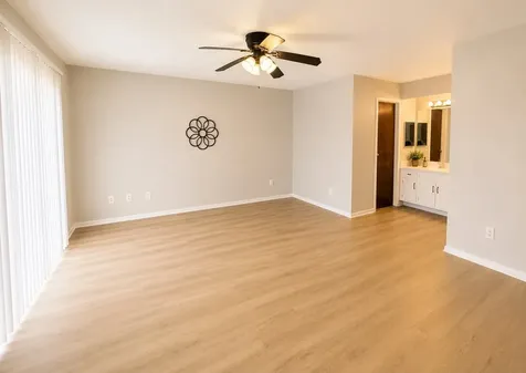 3643 Palm Grove Drive Missouri City TX 77459