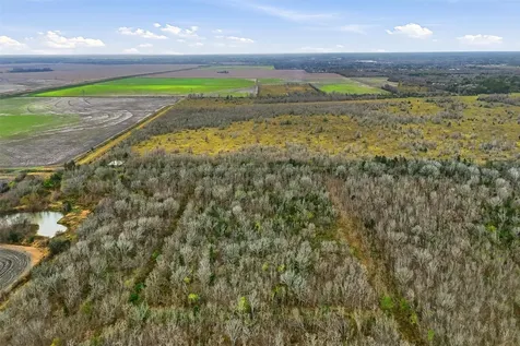0 Tbd, County Road 146 Alvin TX 77511