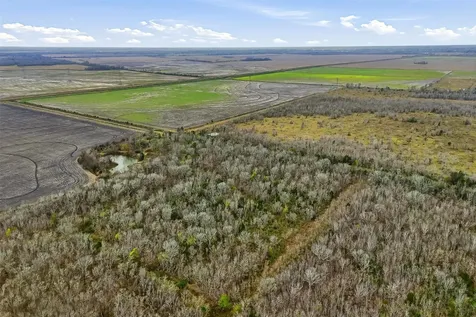 0 Tbd, County Road 146 Alvin TX 77511
