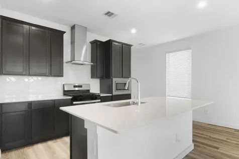 12233 City Rose Court Houston TX 77047