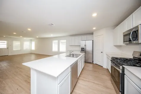 27122 River Birch Ridge Drive Katy TX 77493