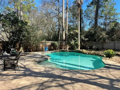 18 Teak Mill Place The Woodlands TX 77382