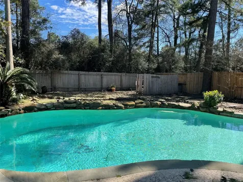 18 Teak Mill Place The Woodlands TX 77382