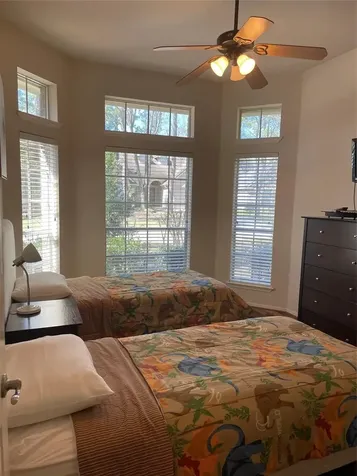 18 Teak Mill Place The Woodlands TX 77382