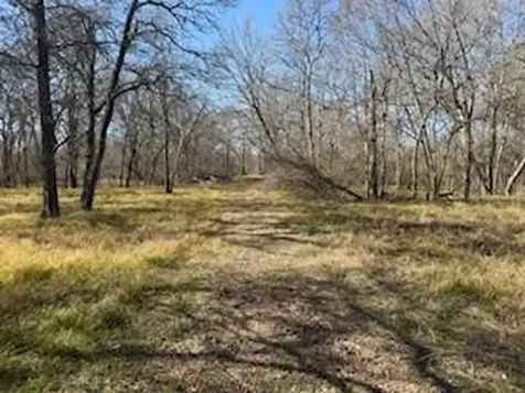 15530 Tierra Grande Drive Needville TX 77461